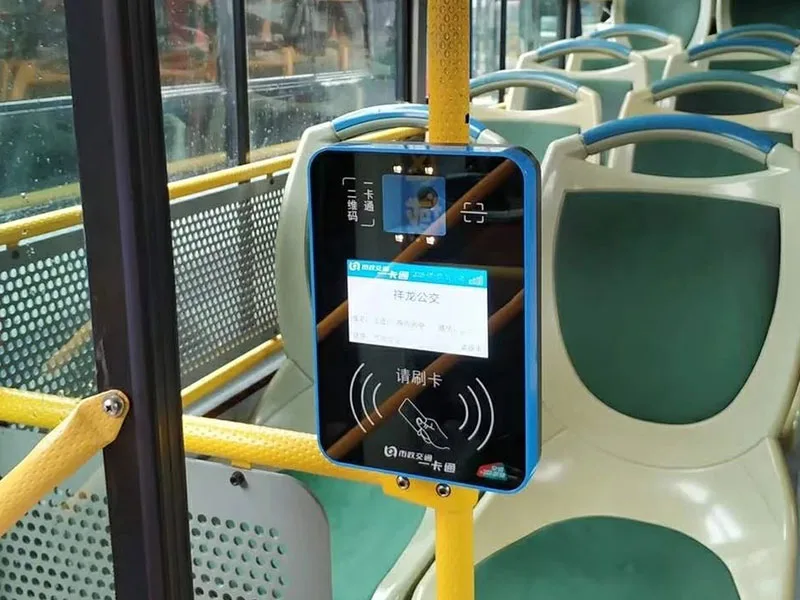 bus