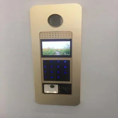LV 3000 2D 1
